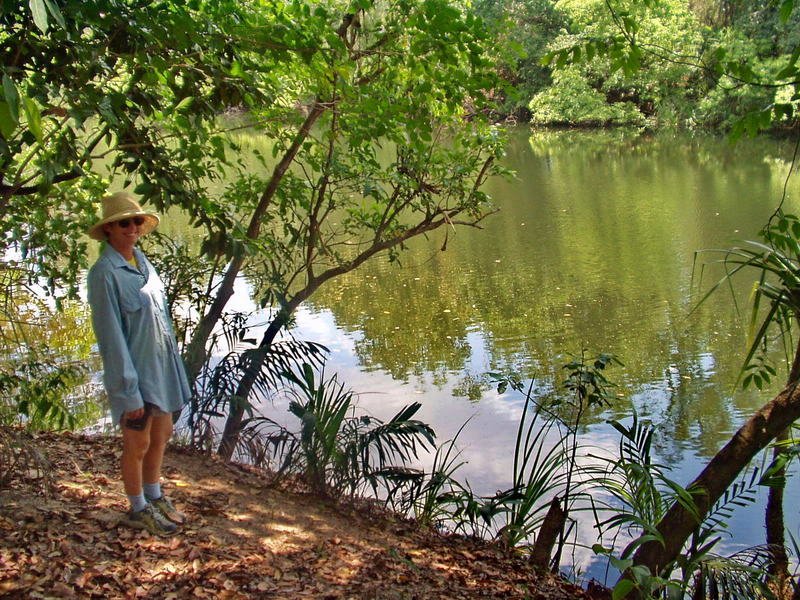 Reynolds River NT