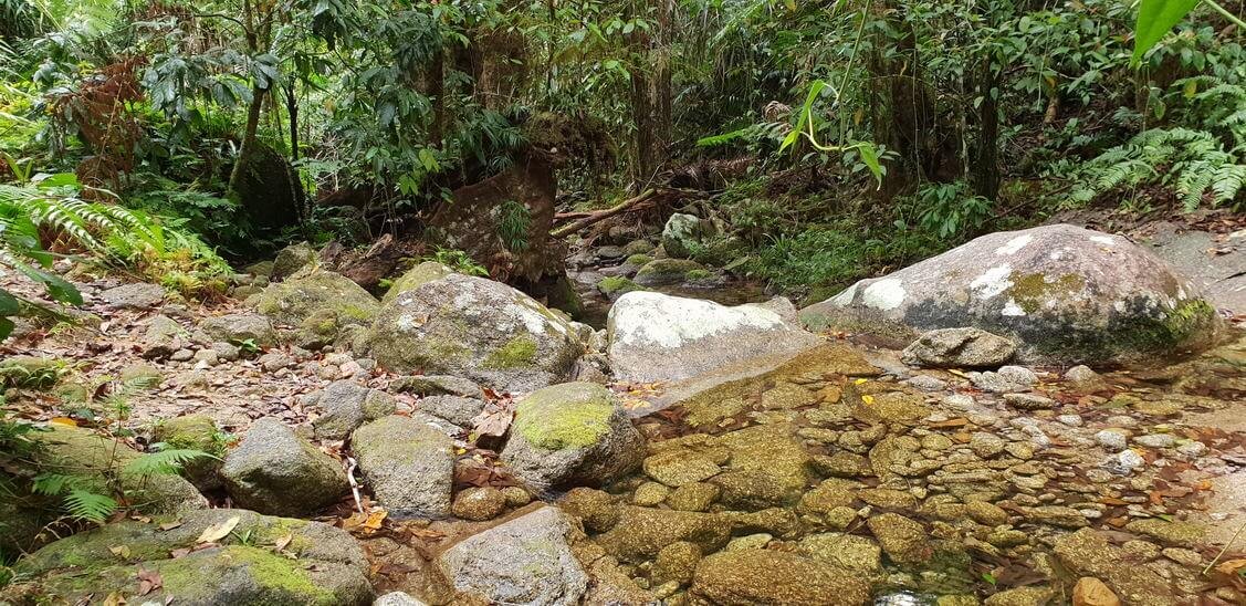 Hiking the Goldfield Trail North Queensland