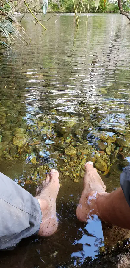 cooling feet - on the Goldfield Trail North