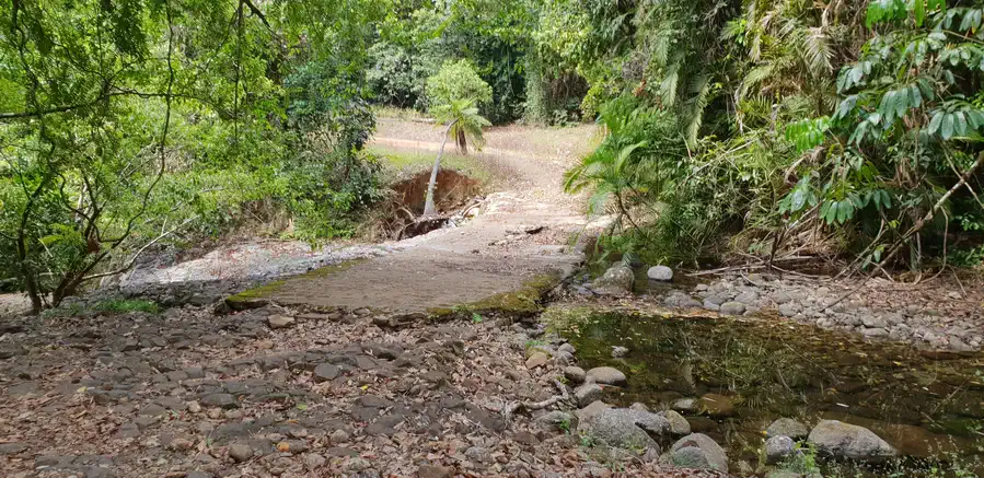 Hiking the Goldfield Trail North Qld
