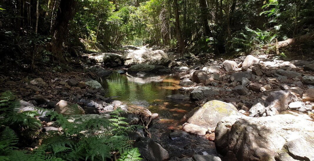 Smith’s Track Hike – Cairns Queensland