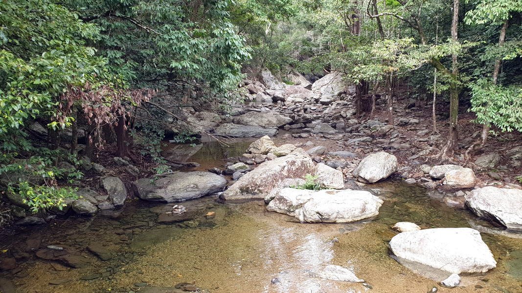 Glacier Rock Hike - Cairns Queensland - Retirement On Tour