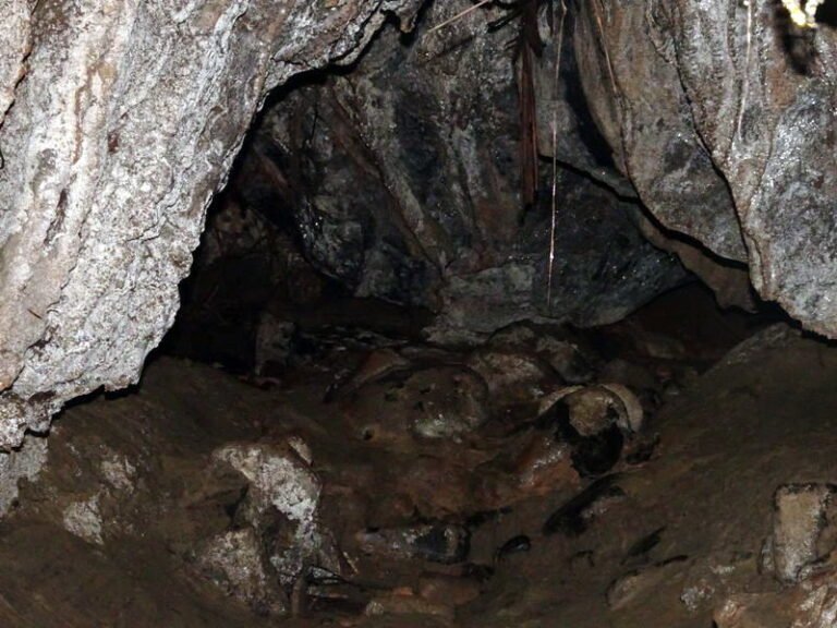 Mole Creek Karst NP Tasmania Exploring Caves Retirement On Tour
