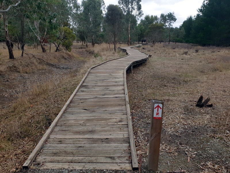 Crawford Forest Boardwalk