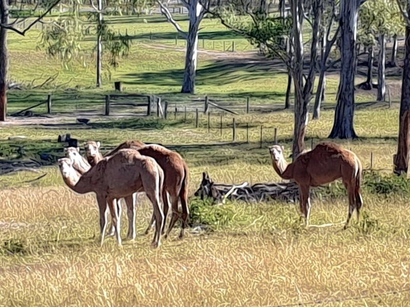 BVRT Toogoolawah to Esk