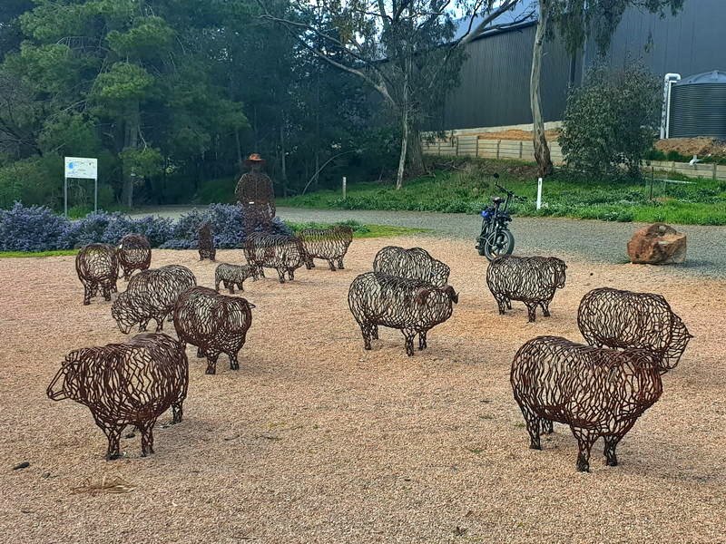 Clare Mob of Sheep Sculpture