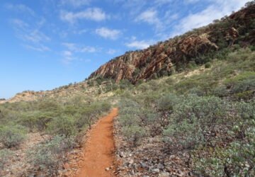 Yeperenye Trail Alice Springs