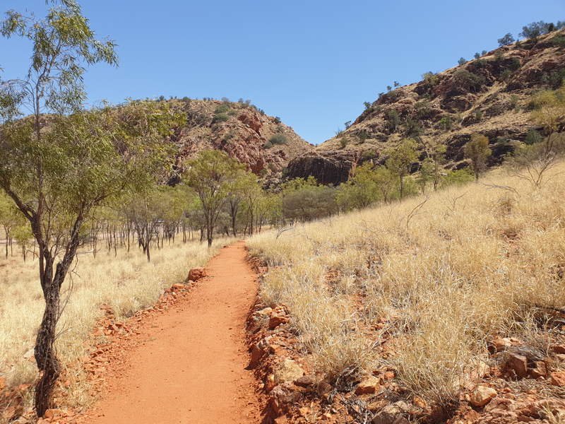 Yeperenye Trail Alice Springs