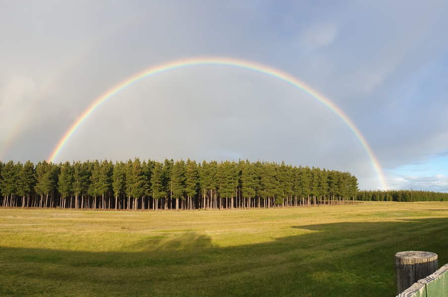 Nangwarry Rainbow