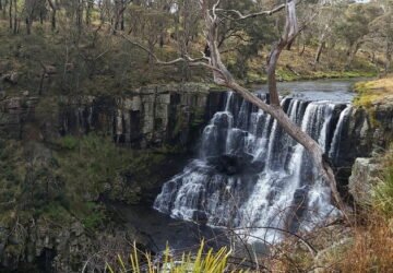 Ebor Falls near Armidale NSW