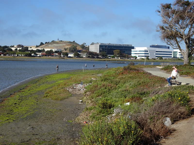 South San Francisco Bay Trail