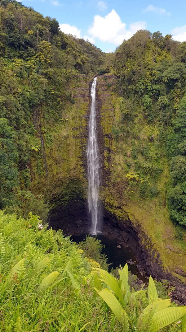 Akaka Falls Hawaii