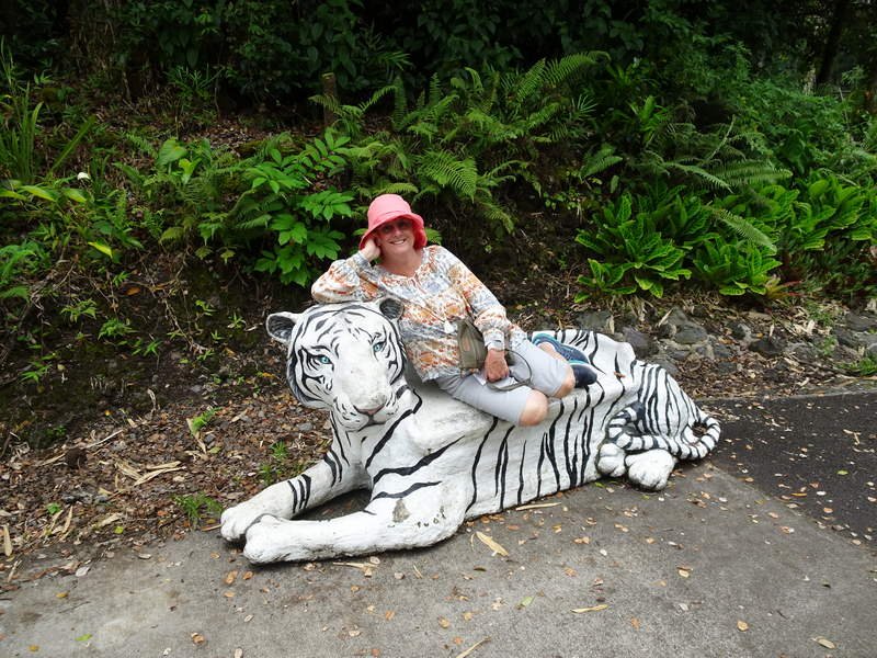 Trish with Tiger at Panaewa Rainforest Zoo