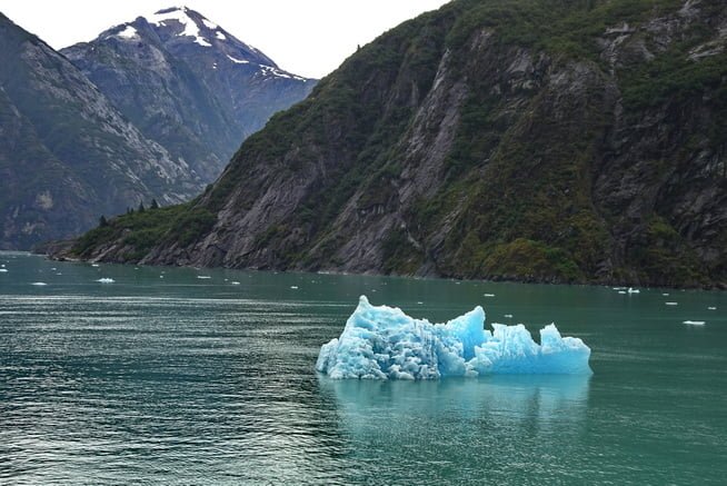 Iceberg Tracey Arm Alaska