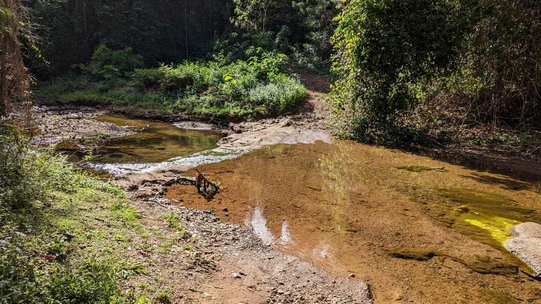 Booloumba Hiking Trail - Mt Alen Ck Crossing