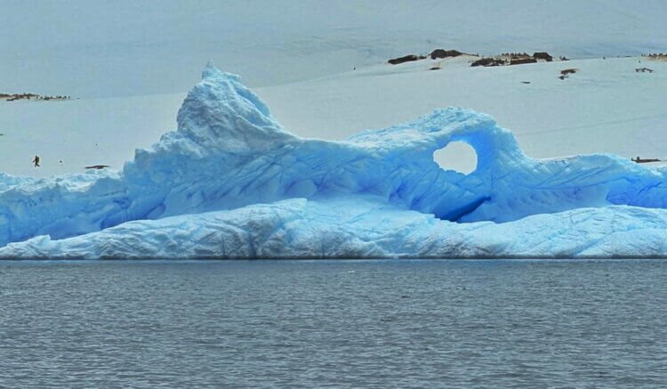 Blue Iceberg with hole Peterman Island Antarctica